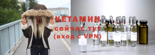 гашик Пересвет