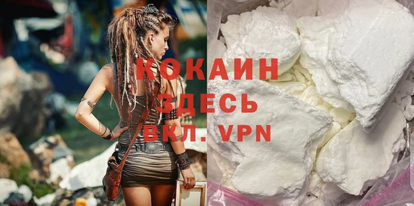 гашик Пересвет